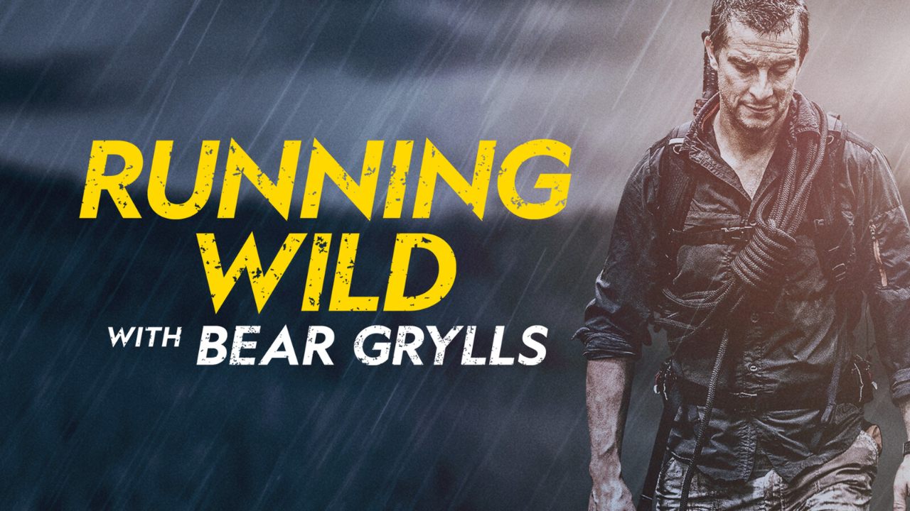 Running Wild With Bear Google Drive Download